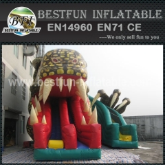 New Giant Print Inflatable Dragon Slides