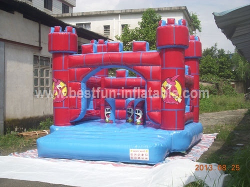 Baby Inflatable Bounce House