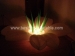 Inflatable LED Flower for Club Decoration