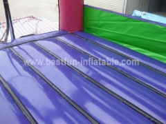 Inflatable Playing Bouncer House