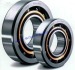 Double Row Angular Contact Ball Bearing 760201TN1