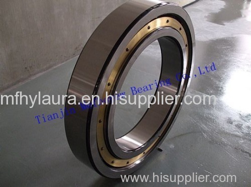 Cylindrical Roller Bearing NU Series Bearing