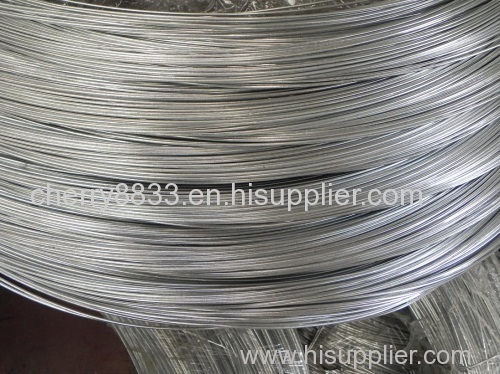 Galvanized Wire Facotry(25 years)