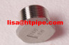 stainless 347 347H coupling plug bushing swage nipple reducing insert union