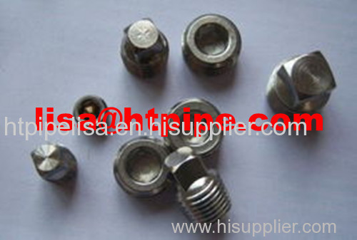 stainless 304N 304LN coupling plug bushing swage nipple reducing insert union