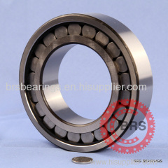 double row full complement cylindrical roller bearings full of roller bearings