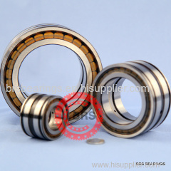 double row full complement cylindrical roller bearings