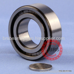 double row full complement cylindrical roller bearings