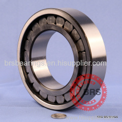 double row full complement cylindrical roller bearings