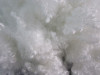 7D*64MM HCS polyester staple fiber