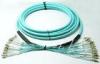 OM4 Multi Core Fiber Optic Patch Cord FTTH With Tight Buffer Cable