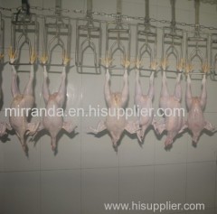 full set of Chicken Slaughter Machine in China