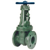 OS&Y Ductile Iron Gate Valve