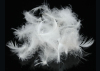 Washed white duck feather 4-6 cm