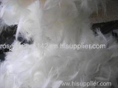 washed White duck feathers