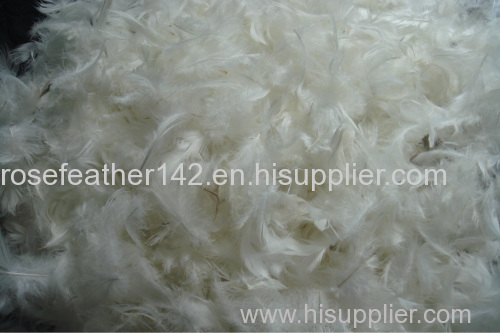 Washed white duck feather