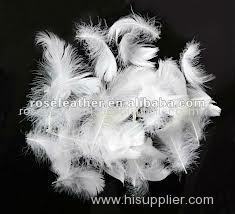 washed white duck feather