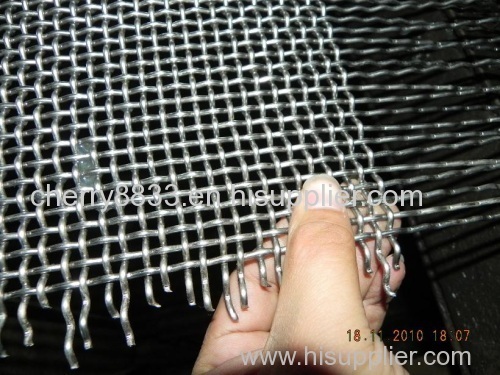 Galvanized Square Wire Mesh