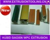 PVC Coextrusion Profile Mould