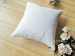 Goose Feather cushion inner