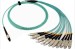 24 Core MPO Fiber Optic Patch Cord For Transmission , Multi Mode