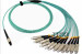 MTP / MPO Fiber Optic Patch Cord with High Performance