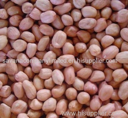 PEA NUTS KERNNELS FOR SALE