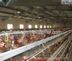batteries for laying hens