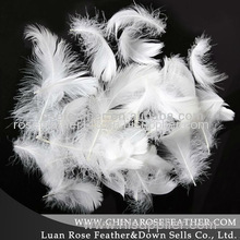 washed white duck feather2-4cm