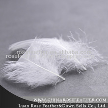 washed white duck feather2-4cm