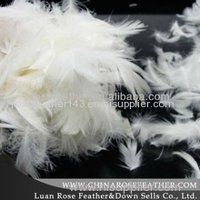 washed white duck feather2-4cm