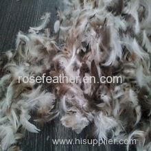 Washed Grey Duck Feather 4-6cm