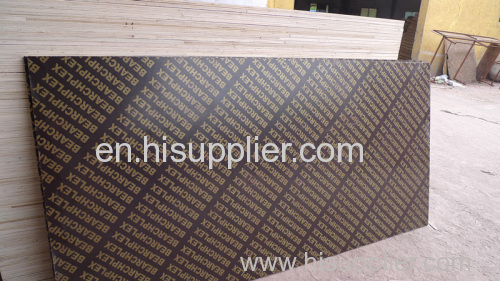 18mm Construction Film Faced Plywood