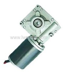 PMDC WORM GEAR MOTOR (80ZYT-WOG)