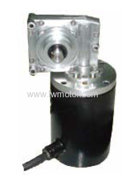 PMDC WORM GEAR MOTOR (90ZYT-WOG)