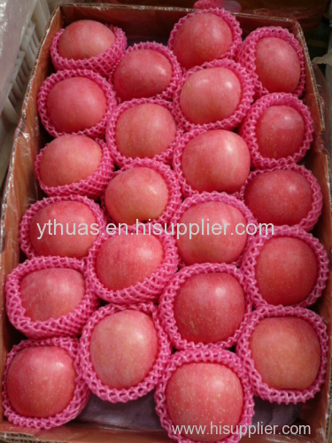 Fresh Red Fuji Apples