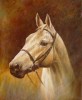 Modern Animal Oil Painting