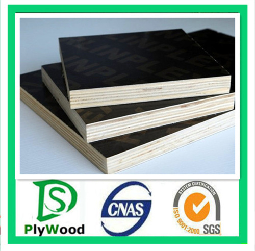 laminated film faced plywood