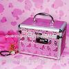 Combination Lock Aluminum Cosmetic Cases / Makeup Boxes , Butterfly Pink