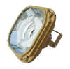 120W-250W IP65 Explosion-proof Induction Luminaire (Rate: EXDIICT3)