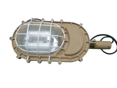 40W-60W Explosion-proof Induction Luminaire (Rate: EXDIIBT6/T5)