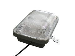 IP65 Induction anti-explosion Light