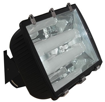 Induction Tunnel Floodlight Luminaire