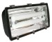 Induction Tunnel Floodlight Luminaire