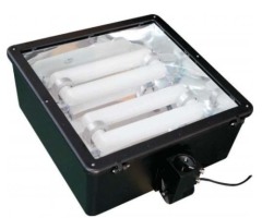 Shoebox Shape Induction Parking Light