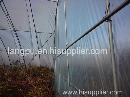 LP-Single Span Plastic Greenhouse