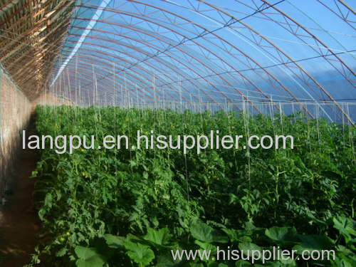 LP Sunlight Greenhouse product