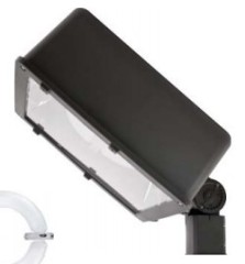 shoeboex electrodeless parking light fixture