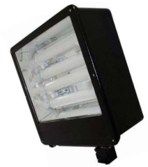 40-150W Shoebox Induction Garden Light