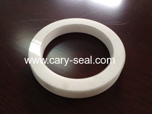 seal ring in ceramic material